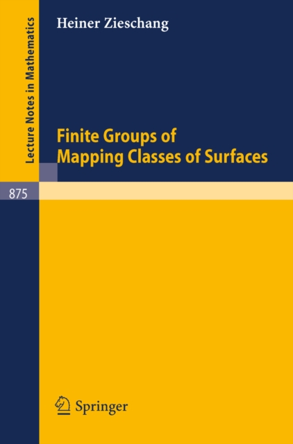 Finite Groups of Mapping Classes of Surfaces, PDF eBook