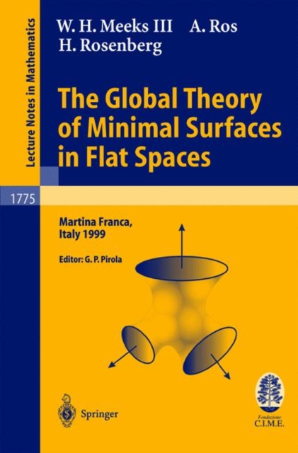The Global Theory of Minimal Surfaces in Flat Spaces : Lectures given at the 2nd Session of the Centro Internazionale Matematico Estivo (C.I.M.E.) held in Martina Franca, Italy, June 7-14, 1999, Paperback / softback Book