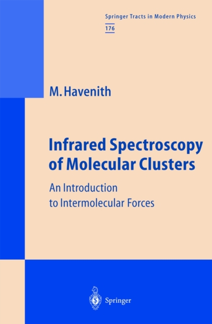 Infrared Spectroscopy of Molecular Clusters : An Introduction to Intermolecular Forces, PDF eBook
