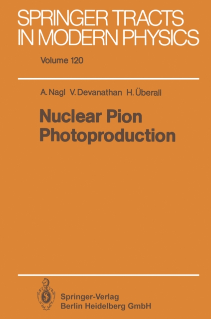 Nuclear Pion Photoproduction, PDF eBook