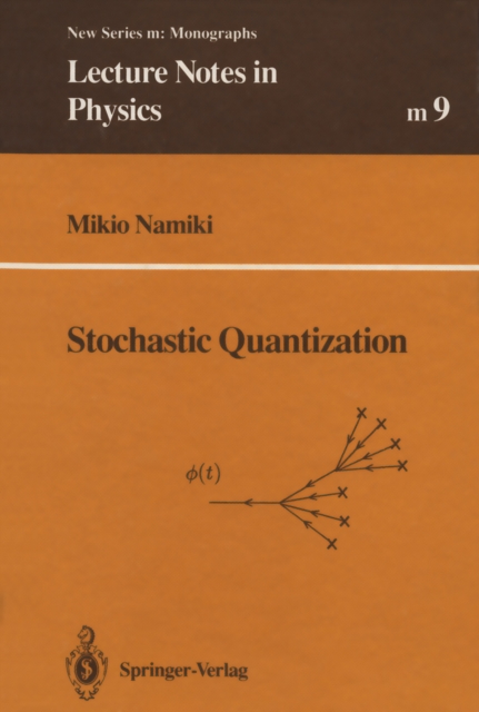 Stochastic Quantization, PDF eBook