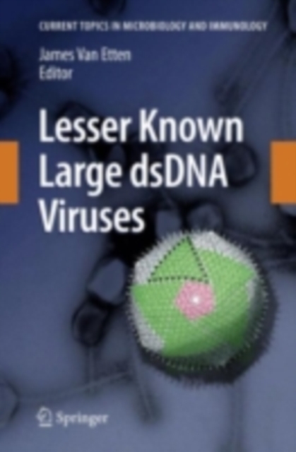 Lesser Known Large dsDNA Viruses, PDF eBook