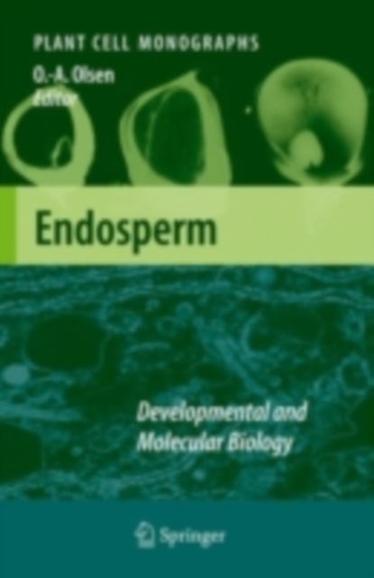 Endosperm : Developmental and Molecular Biology, PDF eBook