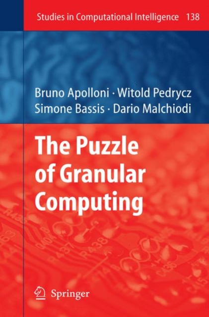 The Puzzle of Granular Computing, PDF eBook