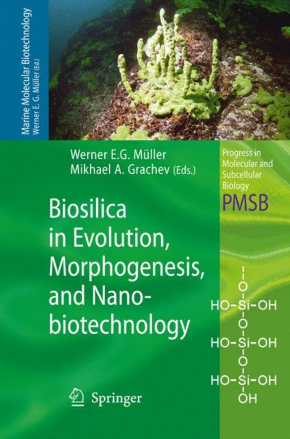 Biosilica in Evolution, Morphogenesis, and Nanobiotechnology : Case Study Lake Baikal, PDF eBook