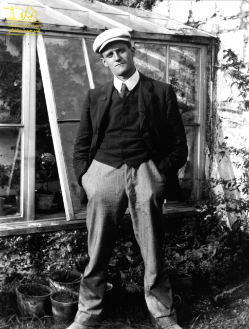 Complete Works of James Joyce : Text, Summary, Motifs and Notes (Annotated), EPUB eBook