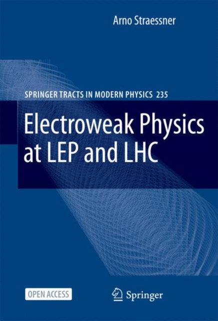 Electroweak Physics at LEP and LHC, EPUB eBook
