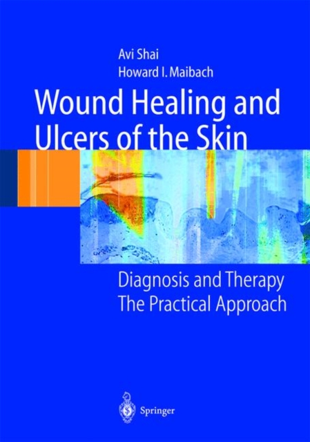 Wound Healing and Ulcers of the Skin : Diagnosis and Therapy - The Practical Approach, Paperback / softback Book