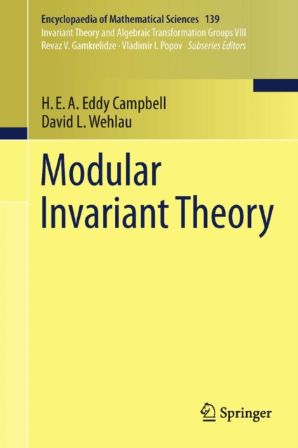 Modular Invariant Theory, PDF eBook