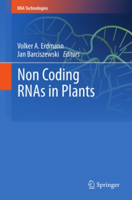 Non Coding RNAs in Plants, PDF eBook