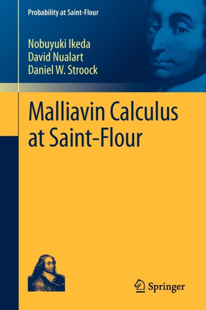 Malliavin Calculus at Saint-Flour, Paperback / softback Book