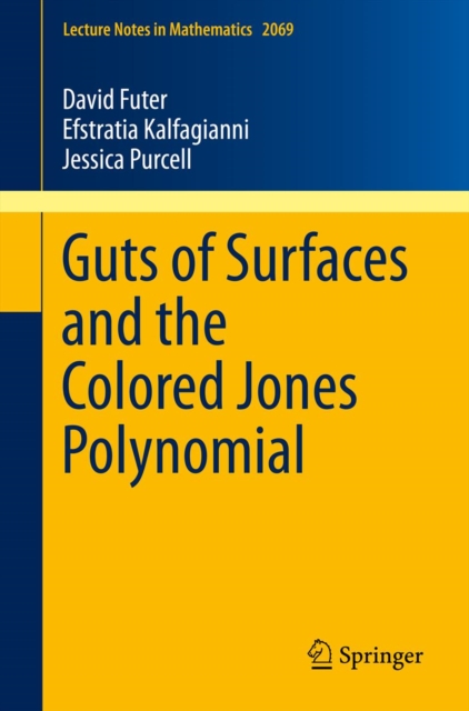 Guts of Surfaces and the Colored Jones Polynomial, PDF eBook