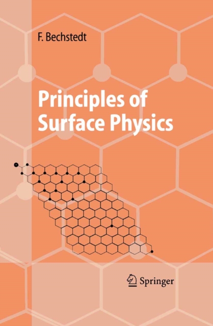 Principles of Surface Physics, PDF eBook