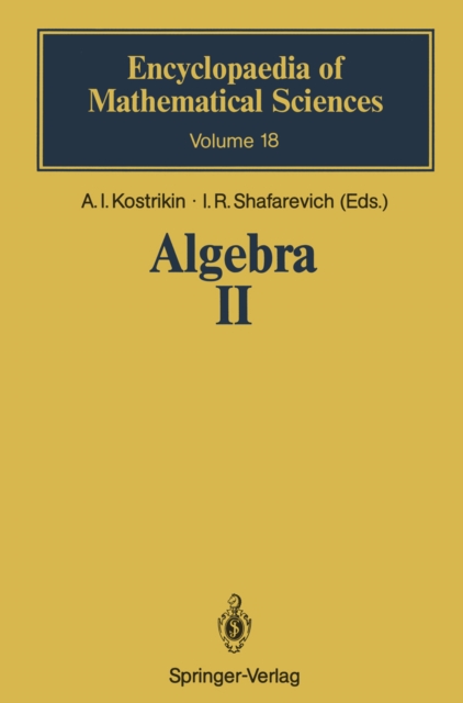 Algebra II : Noncommutative Rings Identities, PDF eBook