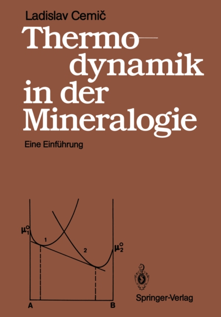 Thermodynamik in der Mineralogie : Eine Einfuhrung, PDF eBook