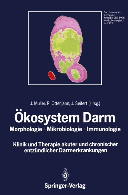 Okosystem Darm : Morphologie, Mikrobiologie, Immunologie Klinik und Therapie akuter und chronischer entzundlicher Darmerkrankungen, PDF eBook