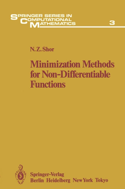 Minimization Methods for Non-Differentiable Functions, PDF eBook
