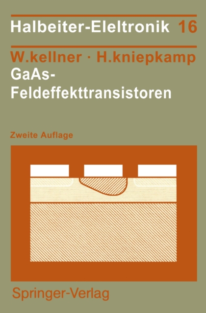 GaAs-Feldeffekttransistoren, PDF eBook