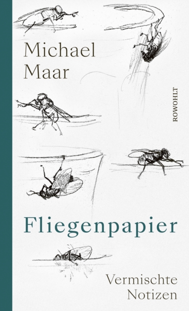 Fliegenpapier : Vermischte Notizen, EPUB eBook