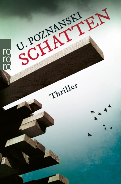 Schatten : Salzburg-Thriller, EPUB eBook