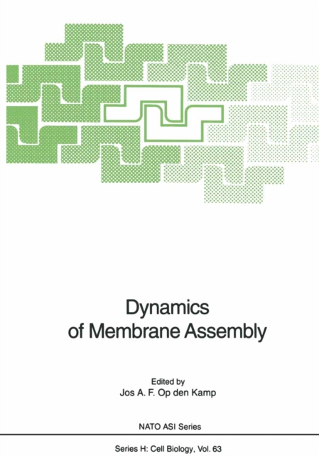 Dynamics of Membrane Assembly, PDF eBook