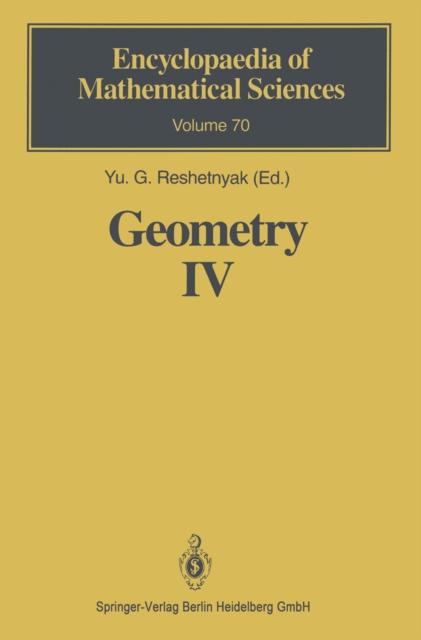 Geometry IV : Non-regular Riemannian Geometry, PDF eBook