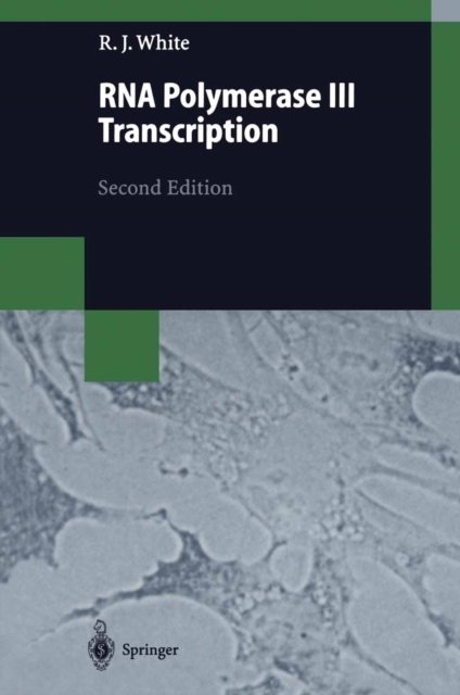 RNA Polymerase III Transcription, PDF eBook