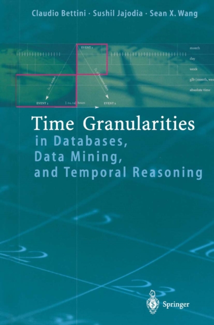 Time Granularities in Databases, Data Mining, and Temporal Reasoning, PDF eBook