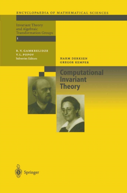 Computational Invariant Theory, PDF eBook