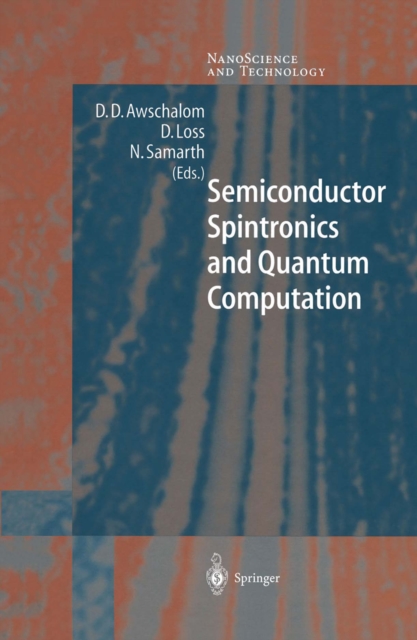 Semiconductor Spintronics and Quantum Computation, PDF eBook
