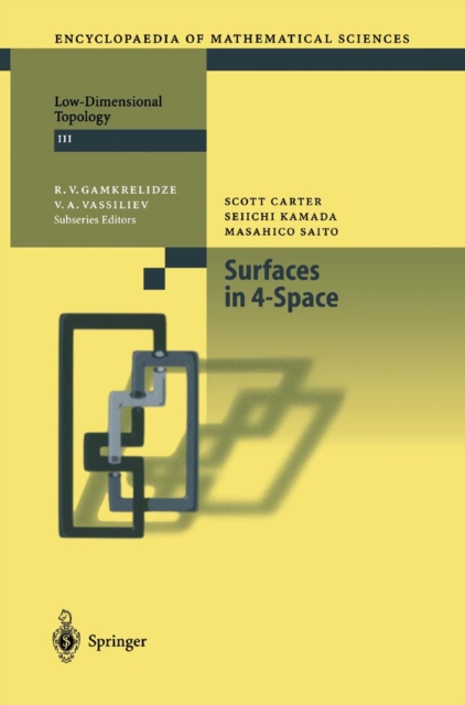 Surfaces in 4-Space, PDF eBook