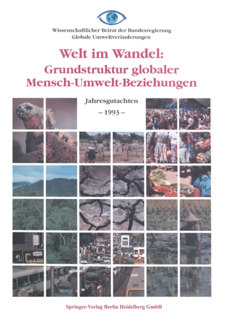 Welt im Wandel: Grundstruktur globaler Mensch-Umwelt-Beziehungen : Jahresgutachten 1993, PDF eBook
