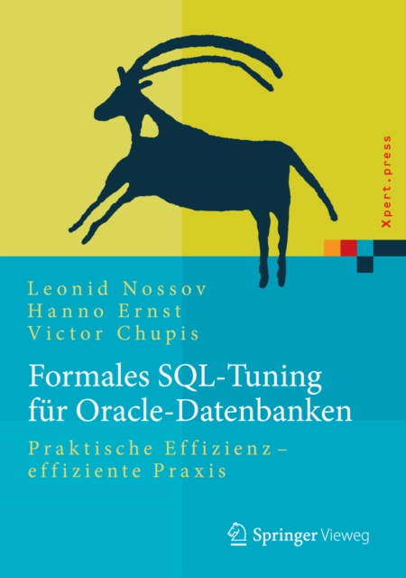 Formales SQL-Tuning fur Oracle-Datenbanken : Praktische Effizienz - effiziente Praxis, EPUB eBook