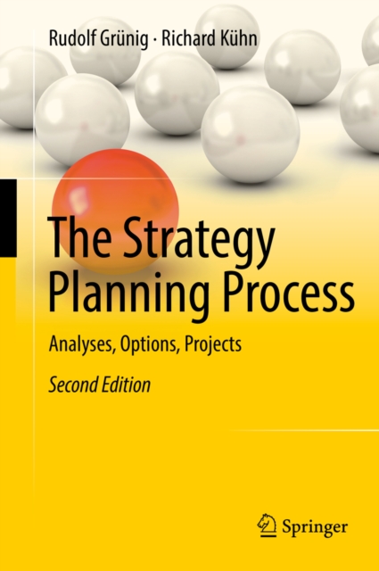 The Strategy Planning Process : Analyses, Options, Projects, EPUB eBook