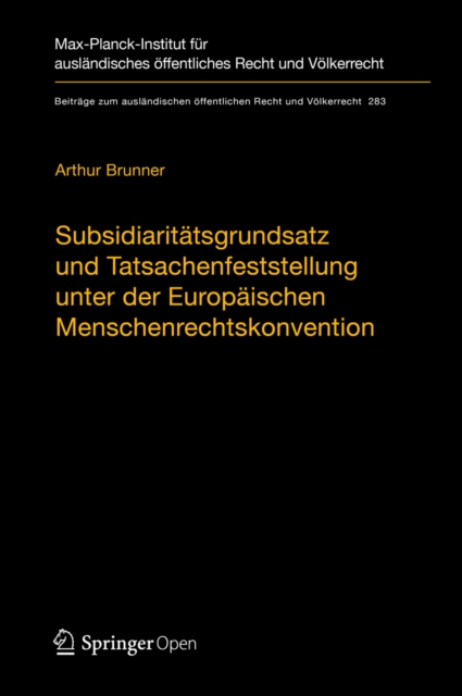 Subsidiaritatsgrundsatz und Tatsachenfeststellung unter der Europaischen Menschenrechtskonvention : Analyse der Rechtsprechung zu Art. 3 EMRK, EPUB eBook