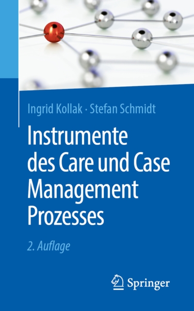 Instrumente des Care und Case Management Prozesses, EPUB eBook