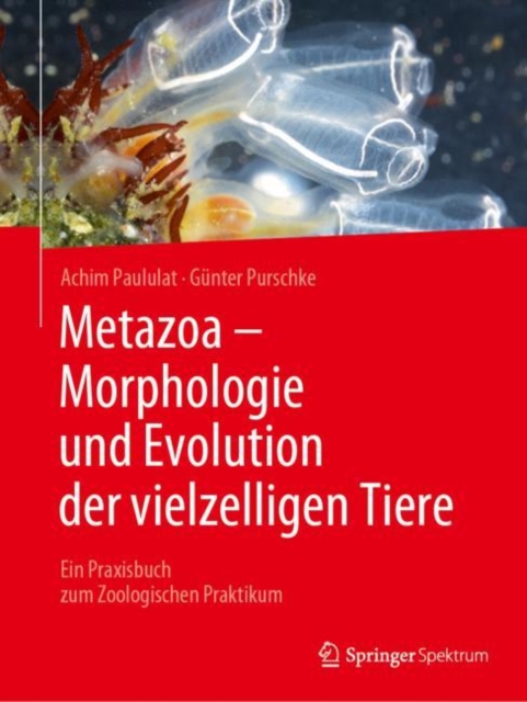 Metazoa - Morphologie und Evolution der vielzelligen Tiere : Ein Praxisbuch zum Zoologischen Praktikum, EPUB eBook