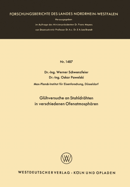 Gluhversuche an Stahldrahten in verschiedenen Ofenatmospharen, PDF eBook
