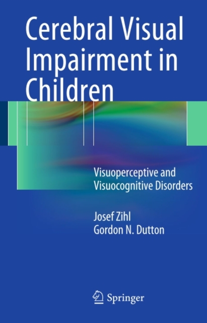 Cerebral Visual Impairment in Children : Visuoperceptive and Visuocognitive Disorders, PDF eBook