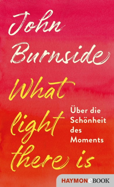 What light there is : Uber die Schonheit des Moments, EPUB eBook