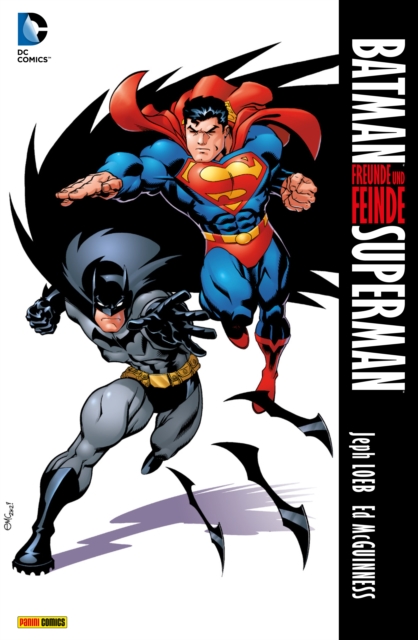 Batman / Superman: Freunde und Feinde, PDF eBook