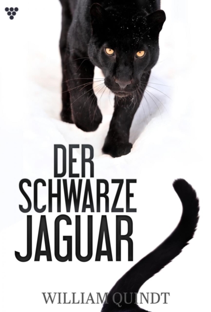 Der schwarze Jaguar : Der schwarze Jaguar 1 - Abenteuerroman, EPUB eBook