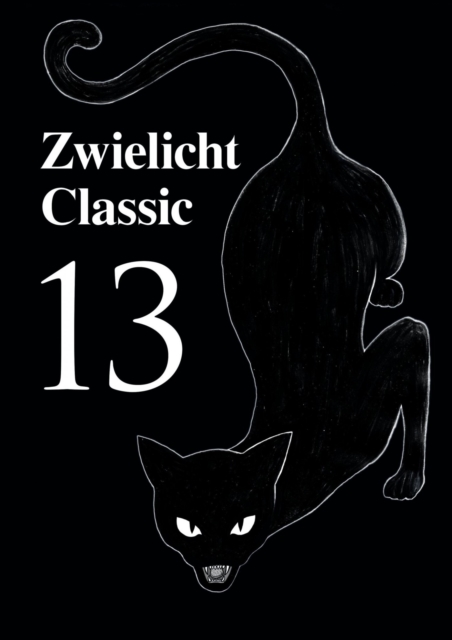 Zwielicht Classic 13, EPUB eBook