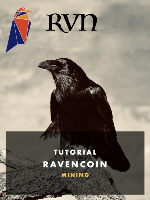 RVN Ravencoin Mining : Passives Einkommen durch Kryptowahrung, EPUB eBook