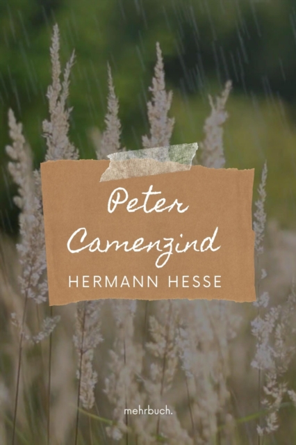Peter Camenzind, EPUB eBook
