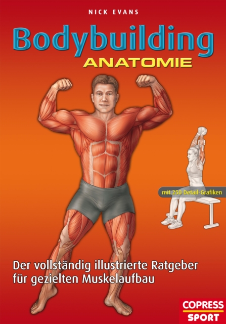 Bodybuilding Anatomie : Der vollstandig illustrierte Ratgeber fur gezielten Muskelaufbau, EPUB eBook