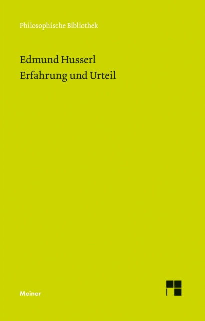 Erfahrung und Urteil : Untersuchungen zur Genealogie der Logik, PDF eBook