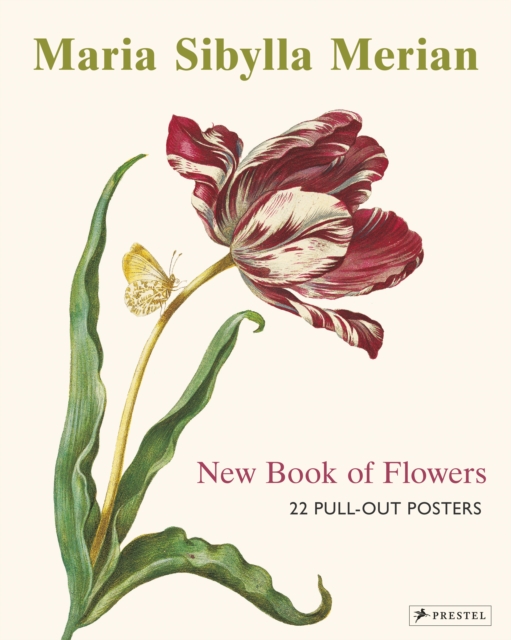 Maria Sibylla Merian : 22 Pull-Out Posters, Paperback / softback Book