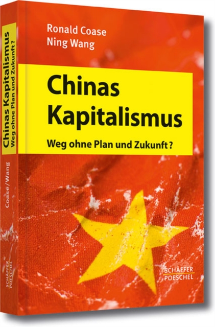 Chinas Kapitalismus : Weg ohne Plan und Zukunft?, PDF eBook