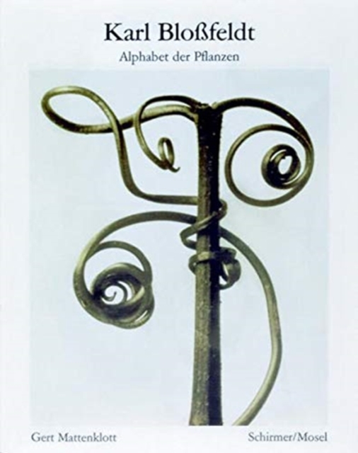 Karl Blossfeldt: Alphabet of Plants, Paperback / softback Book